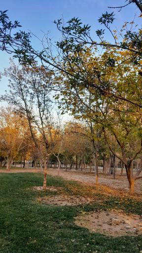 عکس بوستان پروین