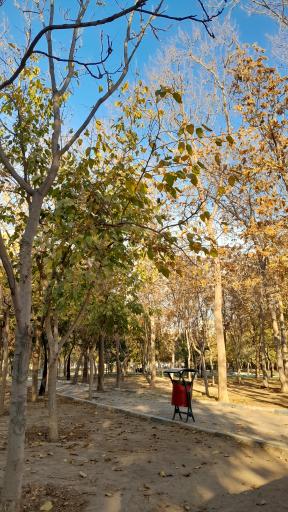 عکس بوستان پروین