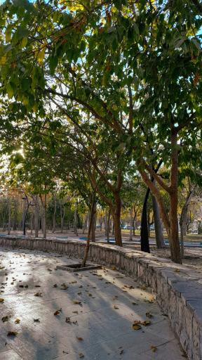 عکس بوستان پروین