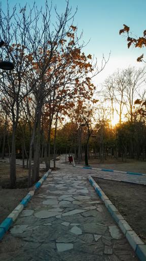 عکس بوستان پروین