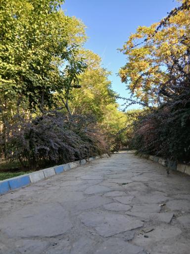 عکس بوستان پروین