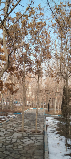 عکس بوستان پروین