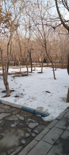 عکس بوستان پروین