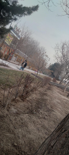 عکس بوستان پروین