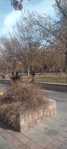 عکس بوستان پروین