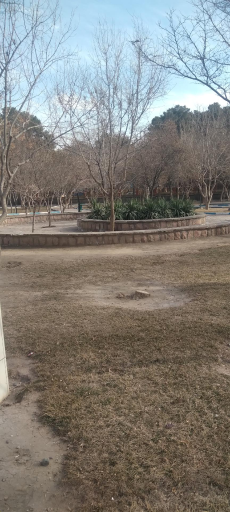 عکس بوستان پروین