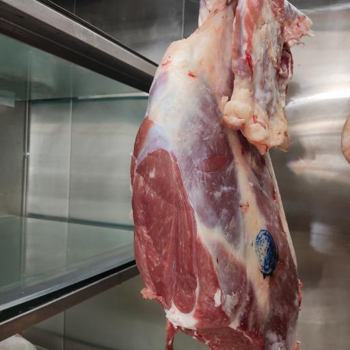 عکس مرغ و گوشت سلامت