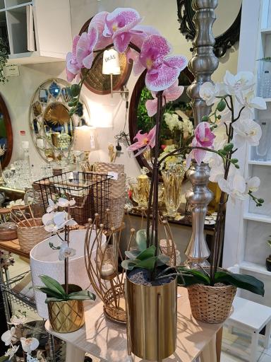 عکس رویال هوم ایکیا