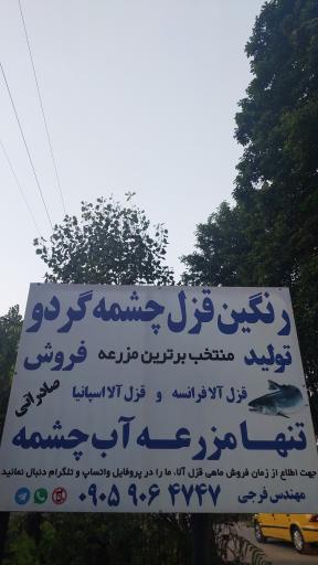 عکس قزل آلا صادراتی مهندس فرجی