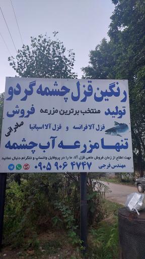 عکس قزل آلا صادراتی مهندس فرجی