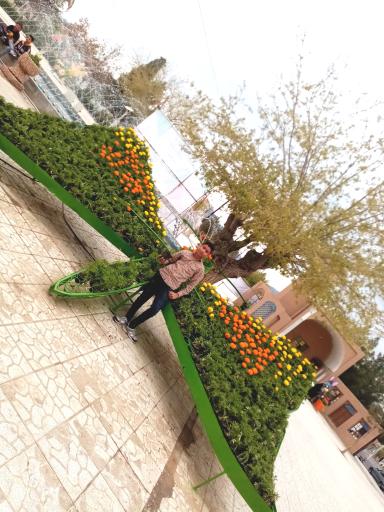 عکس پارک خطی بلوار سید مرتضی