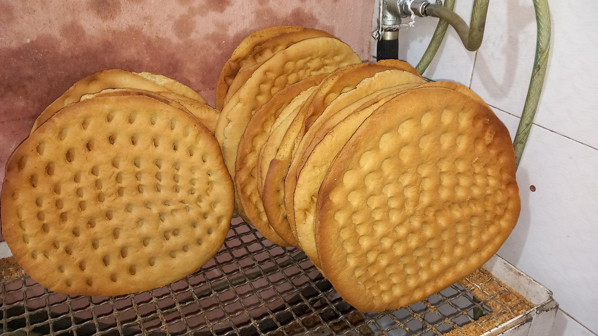 عکس سوغات سرا برادران فیضی