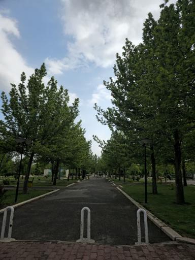 عکس بوستان قلم