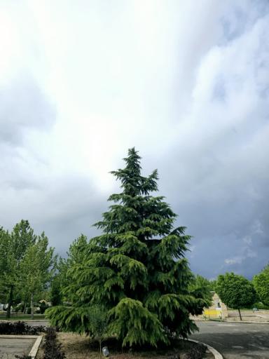 عکس بوستان قلم