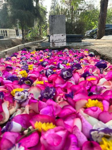 عکس مزار آتوسا قاسمی پور