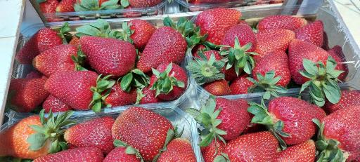 عکس بارفروشی برادران جمالی حجره۵۱