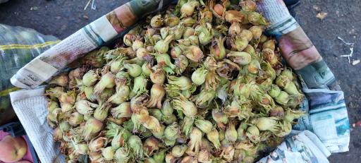 عکس بارفروشی برادران جمالی حجره۵۱