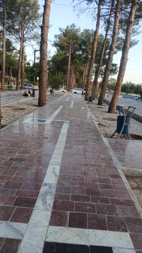 پارک خطی بلوار سید مرتضی