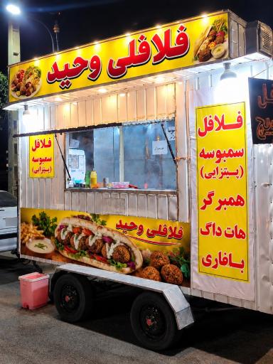 فلافلی وحید
