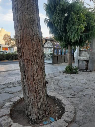 عکس  باغ ملی