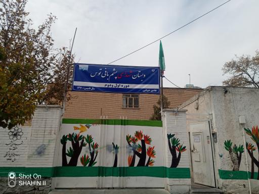 عکس دبستان پشم بافی توس ۲