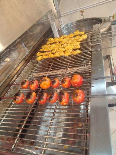 عکس جوجه سرای منتظران