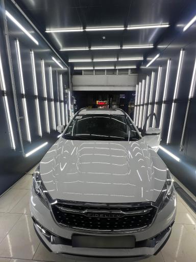 عکس کارشناسی و تشخیص رنگ خودرو پایتخت