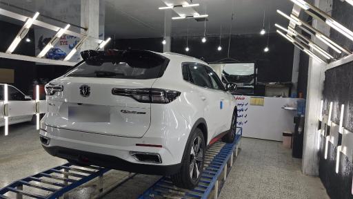 عکس مجموعه تشخیص رنگ چشم عقاب