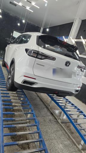 عکس مجموعه تشخیص رنگ چشم عقاب