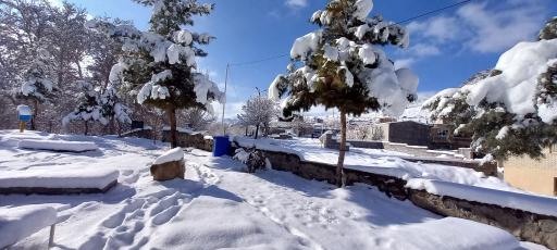 عکس چیمه