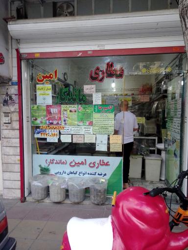 عکس عطاری امین