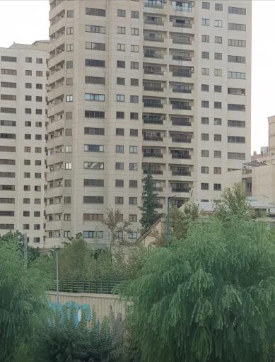 عکس برجهای گل نرگس