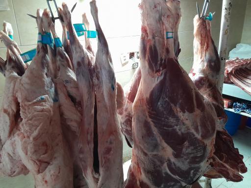 عکس مرکز مرغ و ماهی اترک