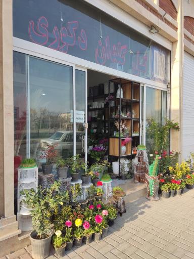 عکس گلفروشی آزالیا