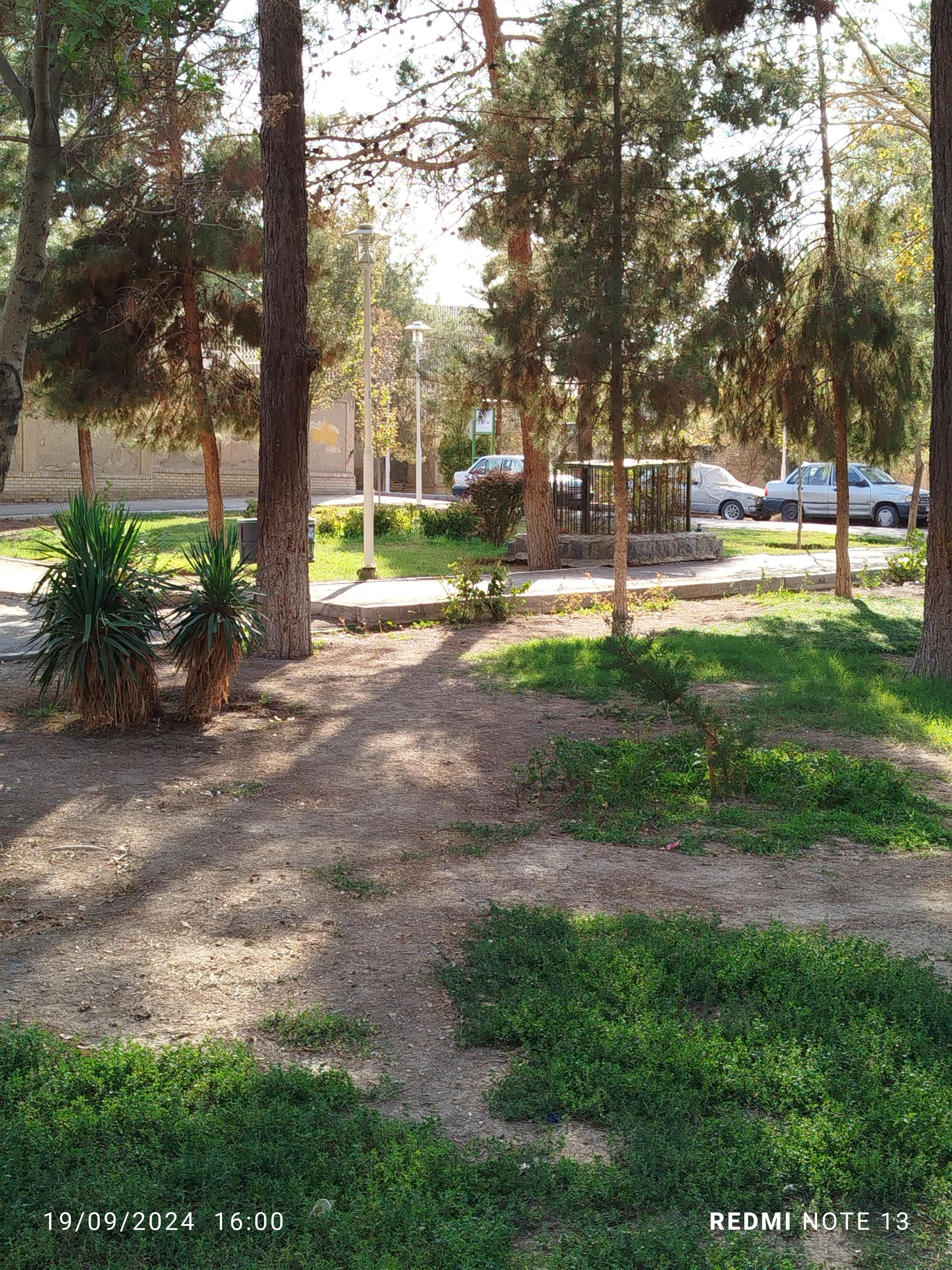 عکس بوستان لت فر 1