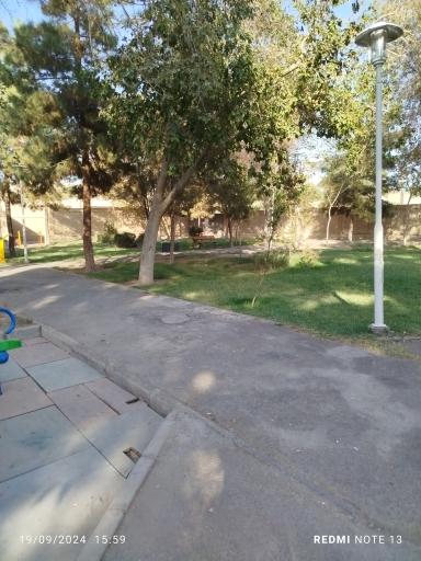 عکس بوستان لت فر 1