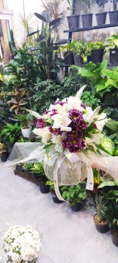 عکس گلفروشی آزالیا