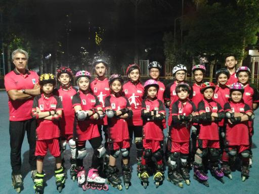 عکس اسکیت پاس