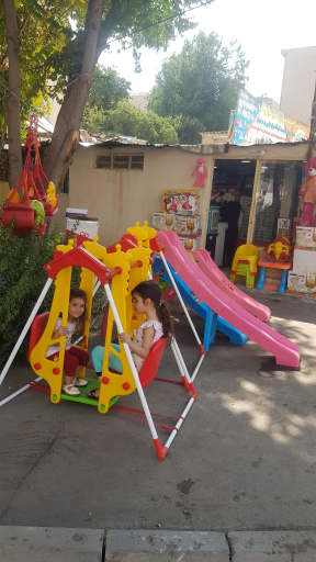 عکس شهر اسباب بازی فینگیلی ها 