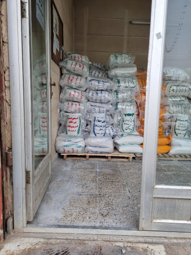 عکس برنج شمال فریدونکنار