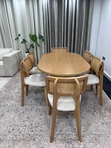 عکس دارکوب گالری 