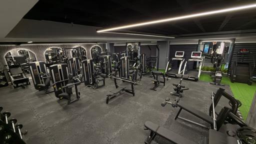 عکس باشگاه بدنسازی بانوان تن یار پلاس