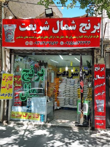 عکس برنج شمال فریدونکنار