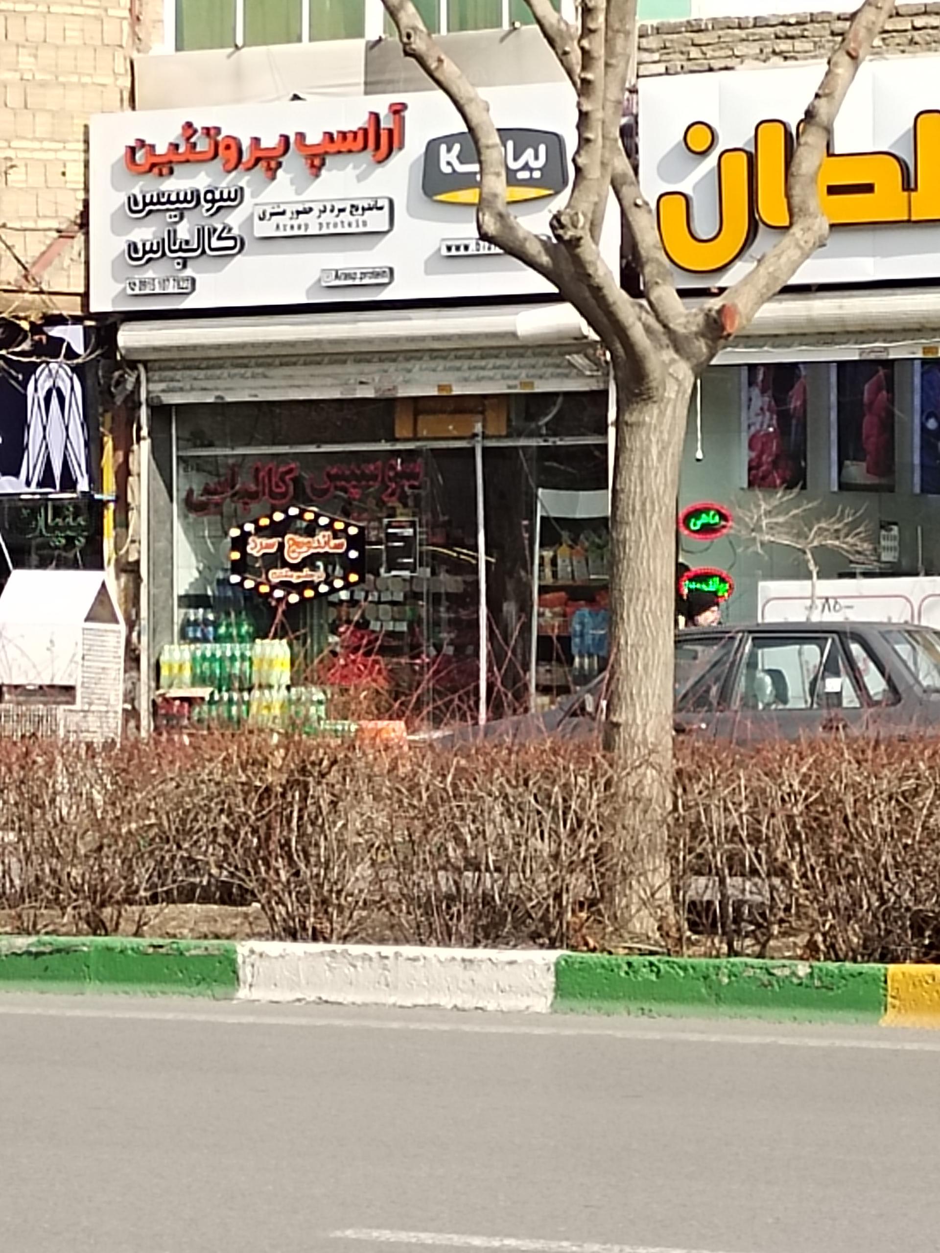 عکس آراسپ پروتئین 