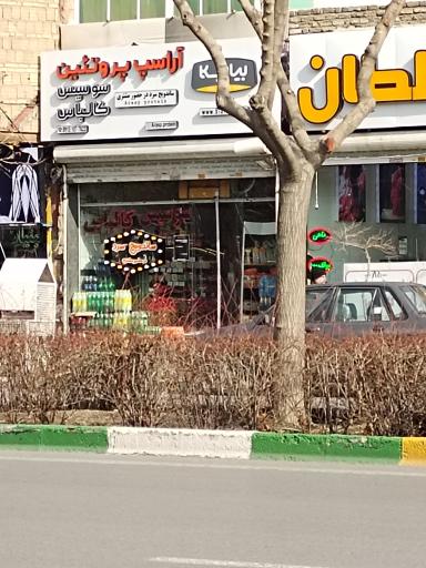 عکس آراسپ پروتئین 