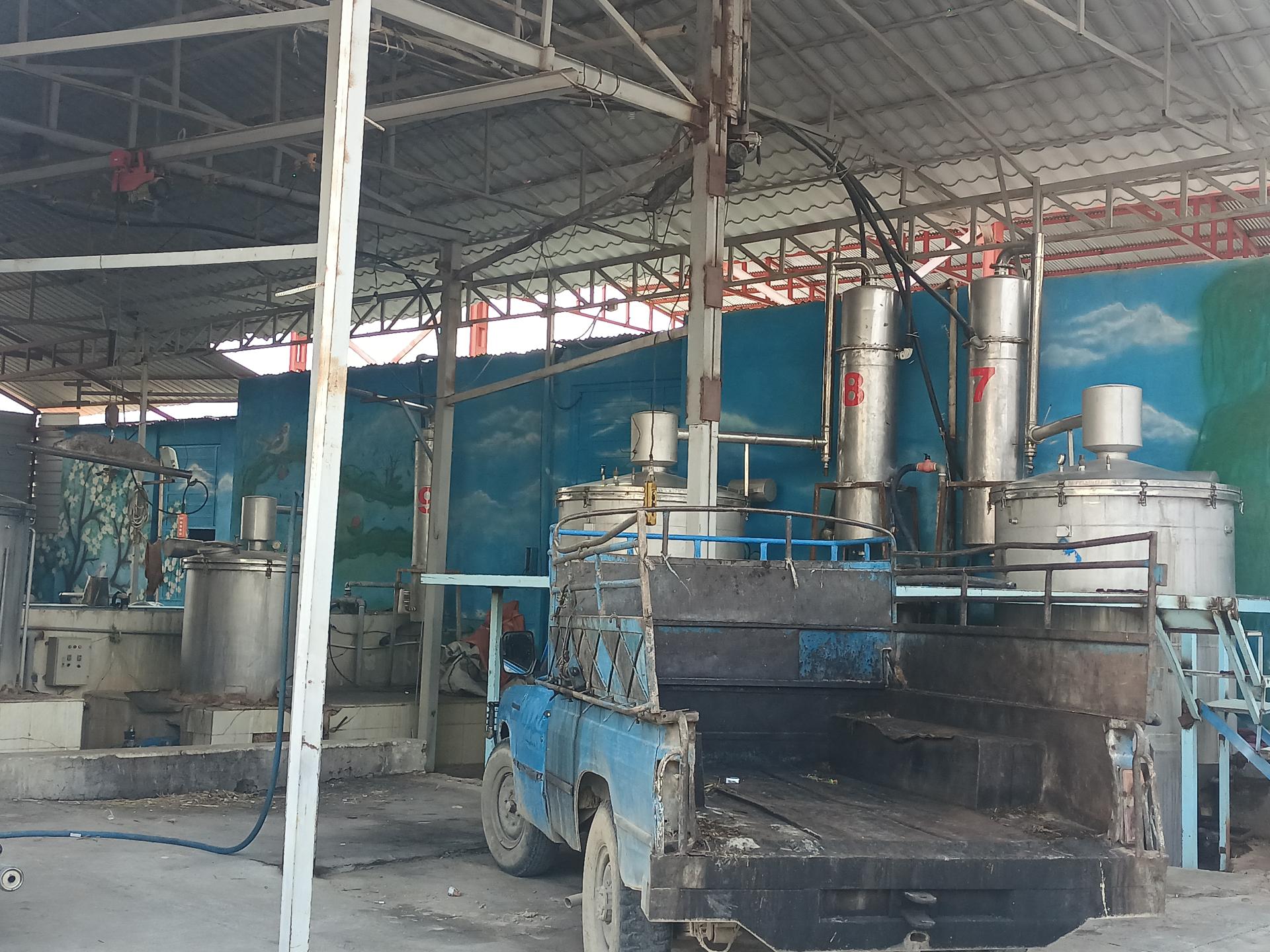 عکس کارگاه گلاب گیری محمد رییسی