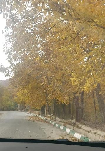 عکس آبشار برگ جهان