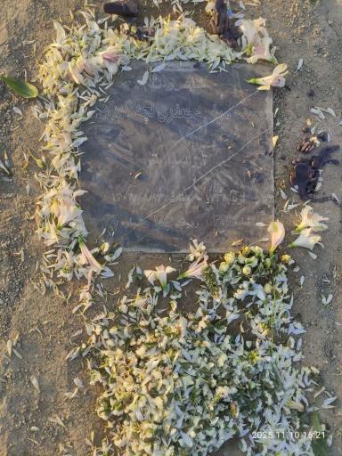 عکس مزار سیده مرضیه جعفری