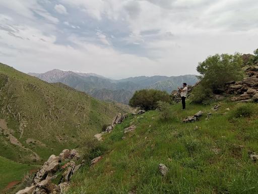 عکس کردستان