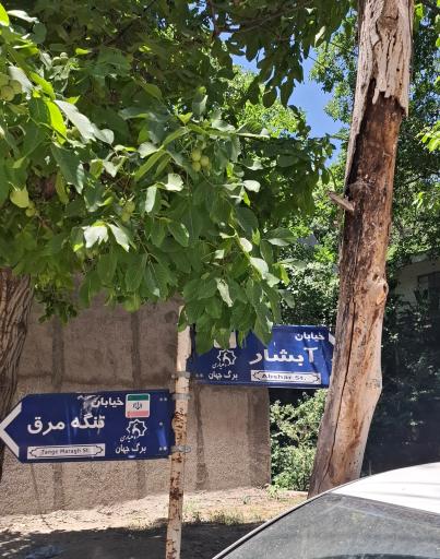 عکس آبشار برگ جهان
